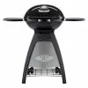 BeefEater Bugg Portable LPG BBQ (Graphite)