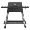 Everdure By Heston Blumenthal FORCE 2 Burner BBQ With Stand
