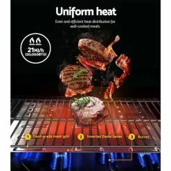 Grillz Portable Gas Oven BBQ 2 Burners LPG Stove Outdoor Picnic Camping Cooking -Barbeques shop F4ustIXVYPvypu1NdZY4iYPWI