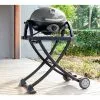 Ziggy By Ziegler And Brown Ziggy Classic Portable Grill LPG BBQ On Folding Cart