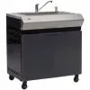 Ziegler And Brown Ziegler & Brown Turbo Classic Sink On Cart