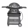 Ziggy By Ziegler And Brown Ziggy Classic Twin Grill Natural Gas BBQ On Cart (Gunmetal Grey)