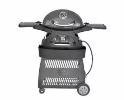 Ziggy By Ziegler And Brown Ziggy Classic Twin Grill Natural Gas BBQ On Cart (Gunmetal Grey)