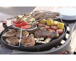 Ziggy By Ziegler And Brown Ziggy Classic Twin Grill Natural Gas BBQ (Gunmetal Grey) -Barbeques shop ZGTGNGC 06