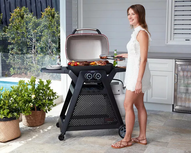 Ziggy By Ziegler And Brown Ziggy Elite Twin Grill LPG BBQ On Cart 8 Ziggy By Ziegler And Brown Ziggy Elite Twin Grill LPG BBQ On Cart - Image 8