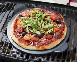 Ziggy Elite By Ziegler & Brown Ziggy Elite Twin Grill LPG BBQ -Barbeques shop ZGTGRE 10